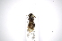  ( - INBIOCRI002255143)  @12 [ ] Copyright (2012) A. Solis Instituto Nacional de Biodiversidad