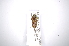  ( - INBIOCRI002320327)  @11 [ ] Copyright (2012) A. Solis Instituto Nacional de Biodiversidad