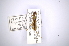  ( - INBIOCRI002349251)  @11 [ ] Copyright (2012) A. Solis Instituto Nacional de Biodiversidad