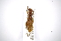  ( - INBIOCRI002382064)  @13 [ ] Copyright (2012) A. Solis Instituto Nacional de Biodiversidad