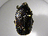 ( - INBIOCRI002470705)  @11 [ ] Copyright (2010) A. Solis Unspecified