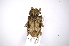  ( - INBIOCRI002500090)  @12 [ ] Copyright (2012) A. Solis Instituto Nacional de Biodiversidad