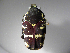  (Argyripa - INBIOCRI002609434)  @15 [ ] Copyright (2010) A. Solis Unspecified