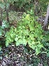  ( - PK_WA7)  @11 [ ] Unspecified (default): All Rights Reserved  Unspecified Unspecified