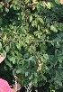  ( - MR_AE10)  @11 [ ] Unspecified (default): All Rights Reserved  Unspecified Unspecified