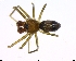  ( - BIOUG02685-F04)  @13 [ ] CreativeCommons - Attribution (2011) M. Alex Smith Centre for Biodiversity Genomics