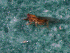  ( - EE-3-2ii-88 P3)  @11 [ ] Unspecified (default): All Rights Reserved  Unspecified Unspecified