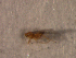  ( - EE-3-2ii-88 P3)  @11 [ ] Unspecified (default): All Rights Reserved  Unspecified Unspecified