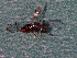  ( - EE-228-91 P3)  @13 [ ] Unspecified (default): All Rights Reserved  Unspecified Unspecified