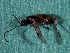  ( - EE-1198-91 P3)  @12 [ ] Unspecified (default): All Rights Reserved  Unspecified Unspecified