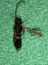  ( - EE-736-93 P3)  @11 [ ] Unspecified (default): All Rights Reserved  Unspecified Unspecified