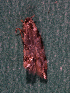  ( - EE-399-93 P3)  @13 [ ] Unspecified (default): All Rights Reserved  Unspecified Unspecified