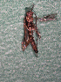  ( - EE-27-90 P3)  @12 [ ] Unspecified (default): All Rights Reserved  Unspecified Unspecified