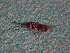  ( - EE-H600-88 P3)  @11 [ ] Unspecified (default): All Rights Reserved  Unspecified Unspecified
