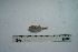  (Astyanax cf. lacustris - UNMDP-T 2816)  @11 [ ] Unspecified (default): All Rights Reserved  Unspecified Unspecified