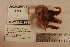  ( - CEAMARC_V3_5781)  @12 [ ] Unspecified (default): All Rights Reserved  Copyright Unspecified
