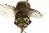  ( - DHJPAR0007512)  @13 [ ] Unspecified (default): All Rights Reserved  Unspecified Unspecified