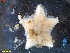  ( - IceAGE_32595)  @11 [ ] Unspecified (default): All Rights Reserved  Unspecified Unspecified