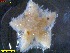  ( - IceAGE_33696_1)  @11 [ ] Unspecified (default): All Rights Reserved  Unspecified Unspecified