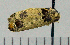  ( - ASTOR-11-0004)  @13 [ ] Unspecified (default): All Rights Reserved  Unspecified Unspecified