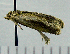  ( - ASTOR-11-0006)  @12 [ ] Unspecified (default): All Rights Reserved  Unspecified Unspecified