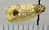  ( - ASTOR-11-0015)  @12 [ ] Unspecified (default): All Rights Reserved  Unspecified Unspecified