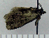  ( - ASTOR-11-0024)  @12 [ ] Unspecified (default): All Rights Reserved  Unspecified Unspecified
