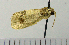  ( - ASTOR-11-0080)  @12 [ ] Unspecified (default): All Rights Reserved  Unspecified Unspecified