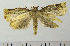  ( - ASTOR-11-0101)  @12 [ ] Unspecified (default): All Rights Reserved  Unspecified Unspecified