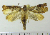  ( - ASTOR-11-0102)  @12 [ ] Unspecified (default): All Rights Reserved  Unspecified Unspecified