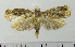  ( - ASTOR-11-0106)  @12 [ ] Unspecified (default): All Rights Reserved  Unspecified Unspecified
