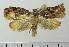  ( - ASTOR-11-0107)  @12 [ ] Unspecified (default): All Rights Reserved  Unspecified Unspecified