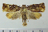 ( - ASTOR-11-0109)  @13 [ ] Unspecified (default): All Rights Reserved  Unspecified Unspecified