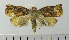  ( - ASTOR-11-0110)  @13 [ ] Unspecified (default): All Rights Reserved  Unspecified Unspecified