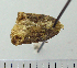  ( - ASTOR-11-0111)  @12 [ ] Unspecified (default): All Rights Reserved  Unspecified Unspecified