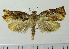  ( - ASTOR-11-0112)  @12 [ ] Unspecified (default): All Rights Reserved  Unspecified Unspecified
