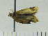  ( - ASTOR-11-0120)  @12 [ ] Unspecified (default): All Rights Reserved  Unspecified Unspecified
