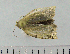  ( - ASTOR-11-0137)  @12 [ ] Unspecified (default): All Rights Reserved  Unspecified Unspecified