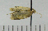  ( - ASTOR-11-0138)  @12 [ ] Unspecified (default): All Rights Reserved  Unspecified Unspecified