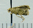  ( - ASTOR-11-0142)  @12 [ ] Unspecified (default): All Rights Reserved  Unspecified Unspecified