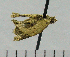  ( - ASTOR-11-0144)  @12 [ ] Unspecified (default): All Rights Reserved  Unspecified Unspecified