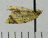  ( - ASTOR-11-0146)  @12 [ ] Unspecified (default): All Rights Reserved  Unspecified Unspecified