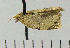  ( - ASTOR-11-0147)  @12 [ ] Unspecified (default): All Rights Reserved  Unspecified Unspecified