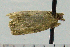  ( - ASTOR-11-0148)  @12 [ ] Unspecified (default): All Rights Reserved  Unspecified Unspecified