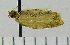  ( - ASTOR-11-0149)  @12 [ ] Unspecified (default): All Rights Reserved  Unspecified Unspecified