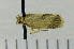 ( - ASTOR-11-0150)  @12 [ ] Unspecified (default): All Rights Reserved  Unspecified Unspecified