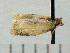  ( - ASTOR-11-0151)  @12 [ ] Unspecified (default): All Rights Reserved  Unspecified Unspecified