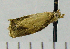  ( - ASTOR-11-0153)  @12 [ ] Unspecified (default): All Rights Reserved  Unspecified Unspecified