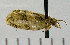 ( - ASTOR-11-0154)  @12 [ ] Unspecified (default): All Rights Reserved  Unspecified Unspecified
