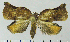  ( - ASTOR-11-0163)  @12 [ ] Unspecified (default): All Rights Reserved  Unspecified Unspecified